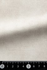 B42480600